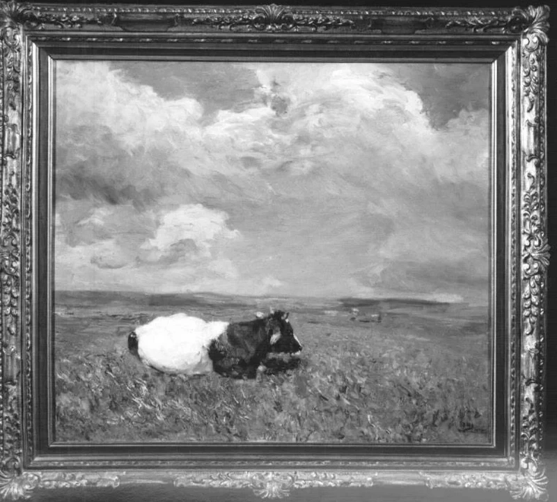 Mucca - Monte di Pietà
